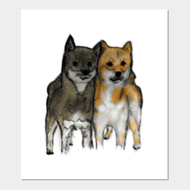 Shiba Inu Dogs