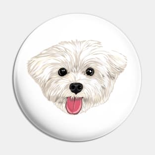 Maru the Maltese (face only) Pin