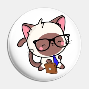 Funny Cat is on the way to work Pin