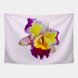 Yellow and Magenta Cattleya Orchid Tapestry