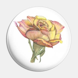 Orange Rose, ink and wash floral watercolor Pin