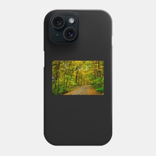 Murphysboro Lake (1) Phone Case