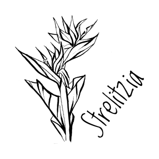 Strelitzia flower T-Shirt