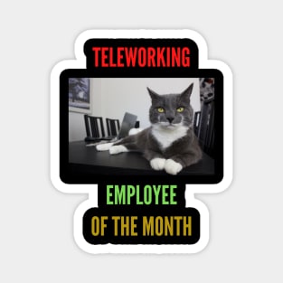 Teleworking - Employee of the Month: The Cat II Magnet