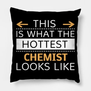 Chemist Looks Like Creative Job Typography Design Pillow