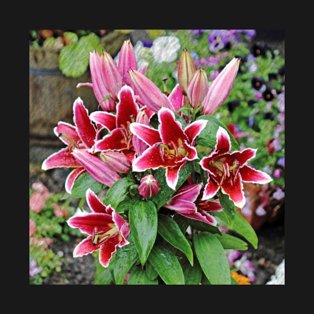 Red Wet Lilies by avrilharris