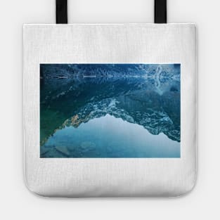 Reflection Tote