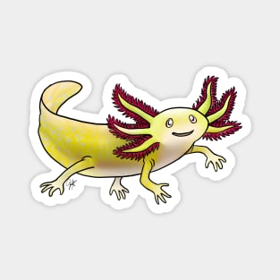 Amphibians - Axolotol - Golden Albino Magnet