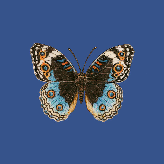 Blue Pansy Butterfly - Butterfly - T-Shirt