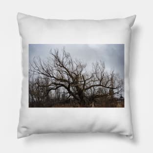 Storm and Tree Pillow