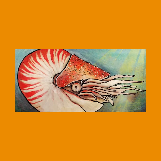 Nautilus by mycologist