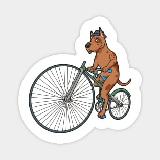 Cool dog rides bicyclette Magnet