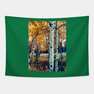 Teton Scene Tapestry