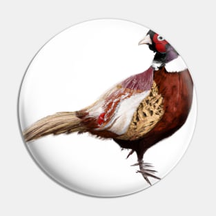 Cute Pheasant Drawing Pin