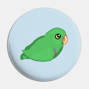 Eclectus Birb Pin