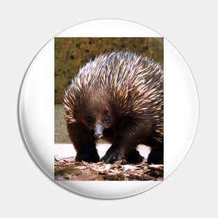 Echidna Pin