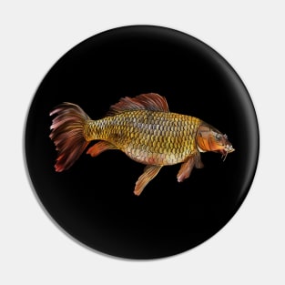 Chinese carp Pin