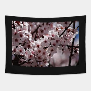 Japanese Cherry Tree (#4) Tapestry