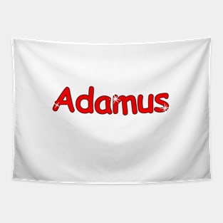 Adamus name. Personalized gift for birthday your friend. Tapestry