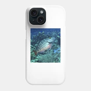 Silver Parrot Fish Phone Case