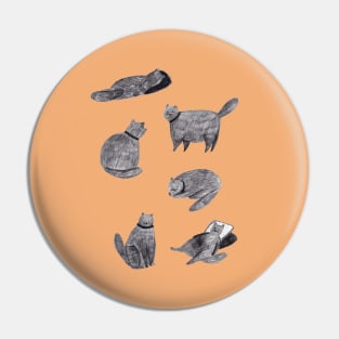 Scruffy Cats Pin