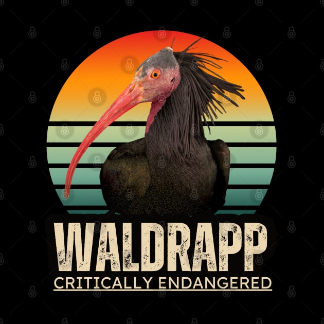 Waldrapp is an endangered specie by TRACHLUIM