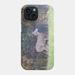 White Tailed Deer Phone Case