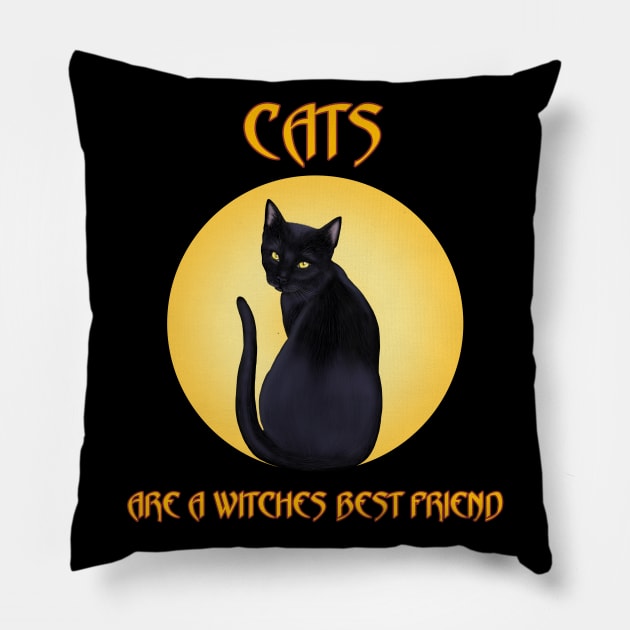 Cats are a witches best friend Pillow by SCSDESIGNS