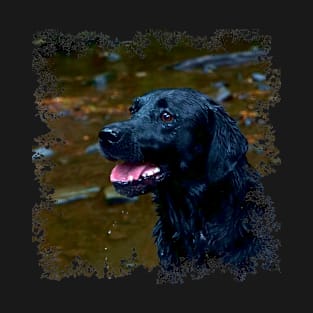 Black Lab T-Shirt