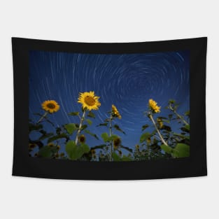 Sunflowers lit by moonlight against startrail Tapestry