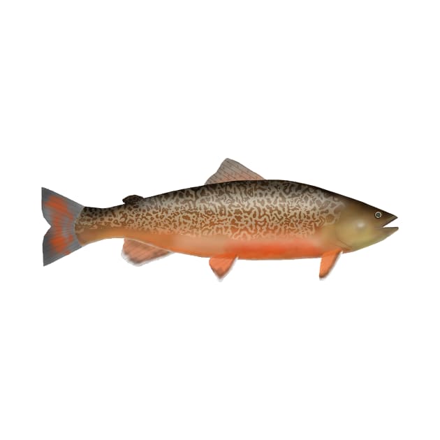 Tiger Trout by FishFolkArt