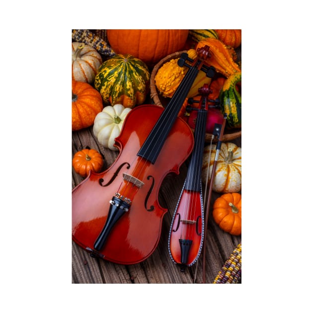 Stringed instruments Autumn Harvest by photogarry