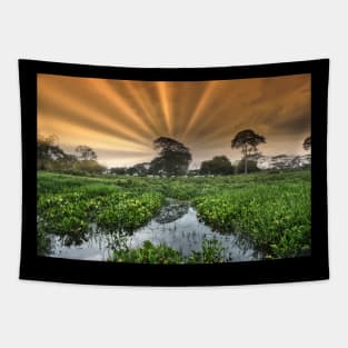 sunset Tapestry