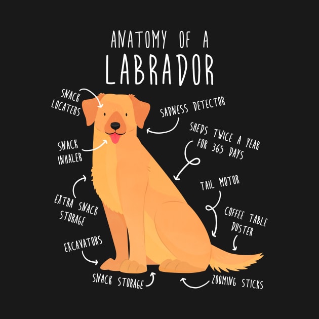 Yellow Labrador Retriever Dog Anatomy by Psitta