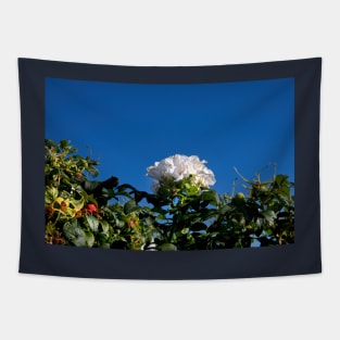 White Dog Rose under a clear blue sky Tapestry