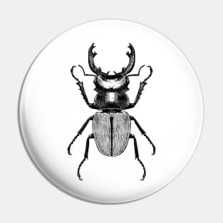 Old style drawing of Stag beetle Pin