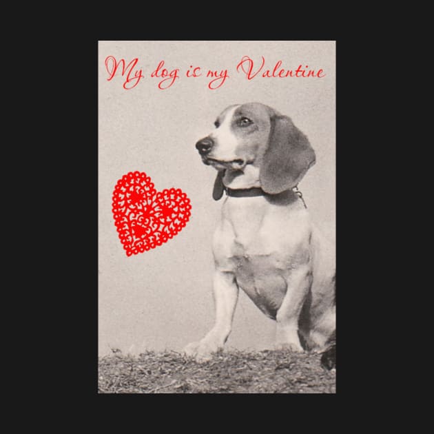 My Dog is my Valentine (Beagle) by picsoncotton