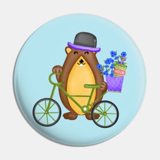 Cute groundhog with bicycle. Pin