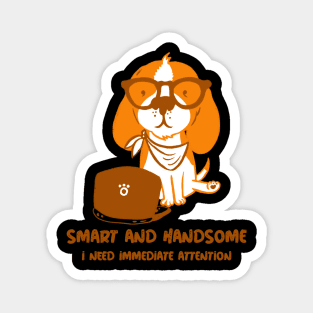 Smart and Handsome Magnet