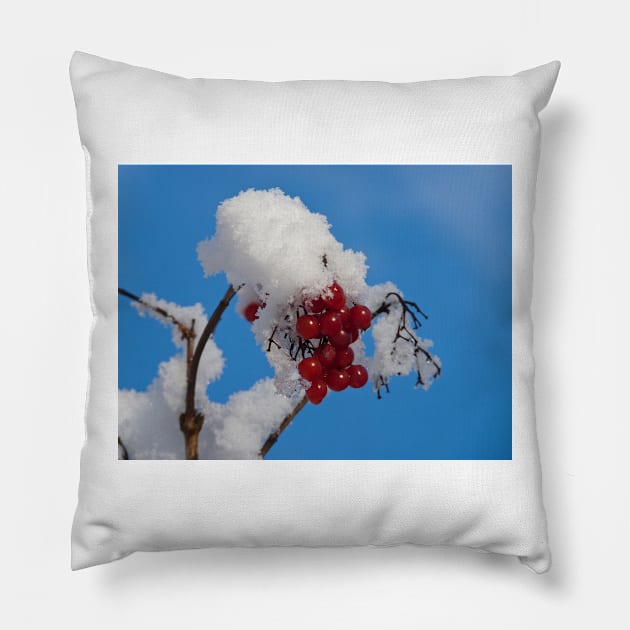 Winter Berries in Snow Pillow by GrahamCSmith