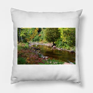 Follow The Fall Colors Pillow