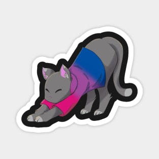 Bisexual cat stretching Magnet