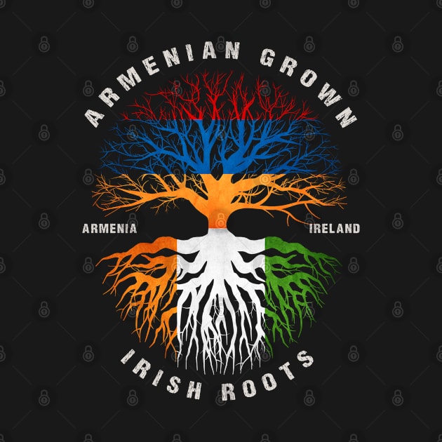 Armenian Grown Irish Roots Ireland Flag by heart teeshirt