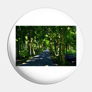 A Dappled Path Pin