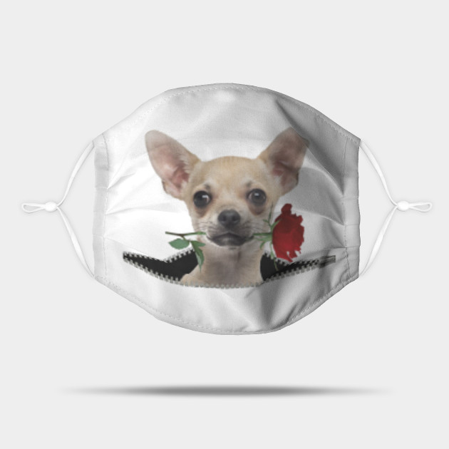 Funny Chihuahua Zipper Rose Face Mask Chihuahua Lover Mask Teepublic 154 likes 1 talking about this. funny chihuahua zipper rose face mask