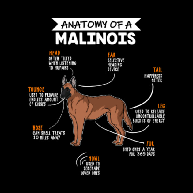 Anatomy Of A Malinois Funny Dog Owner Gift - Puppy - Phone Case