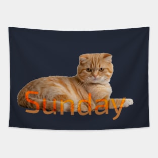 Sunday cat!. Don´t bother me please. Tapestry