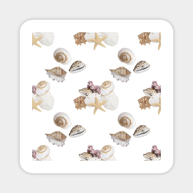 Seamless Repeating Pattern Of Seashells Magnet by dianecmcac