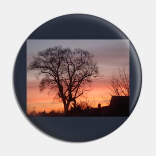 black silhouette winter tree with amazing sunset sky Pin