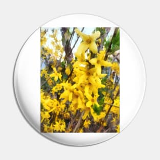 Spring - Sprig of Forsythia Pin